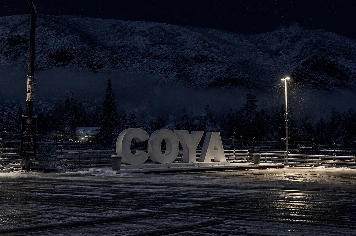 Coya bajo la nieve durante una noche de invierno