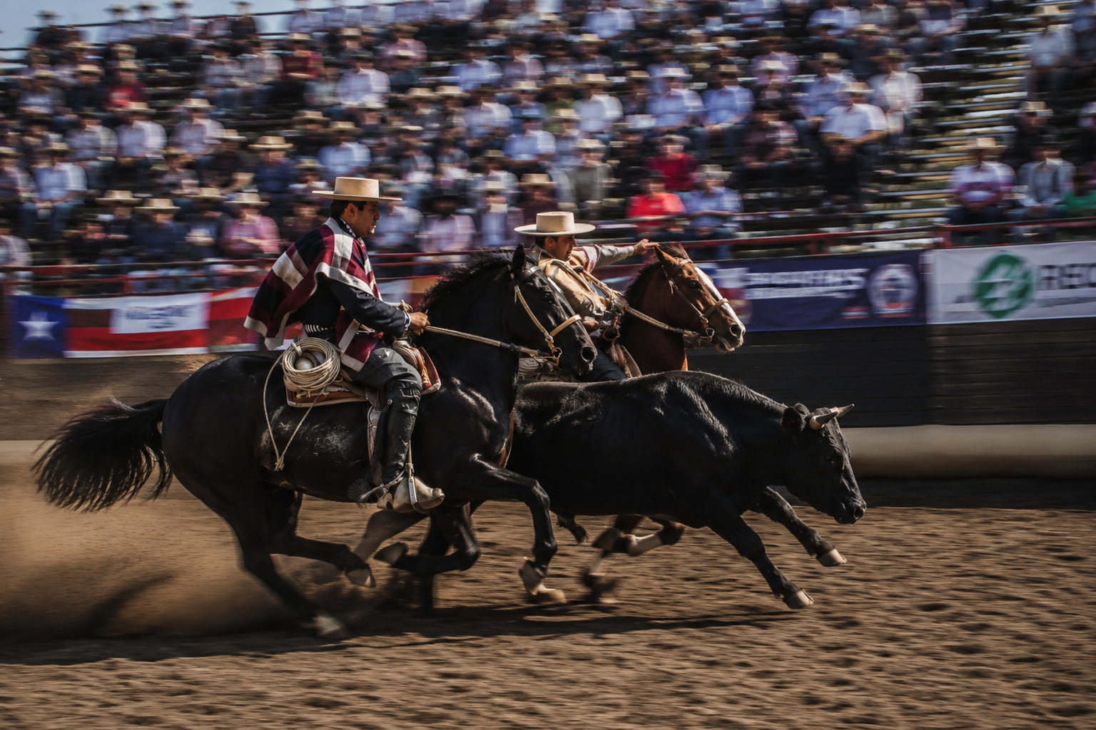 Rodeo chileno en la Región de O’Higgins
