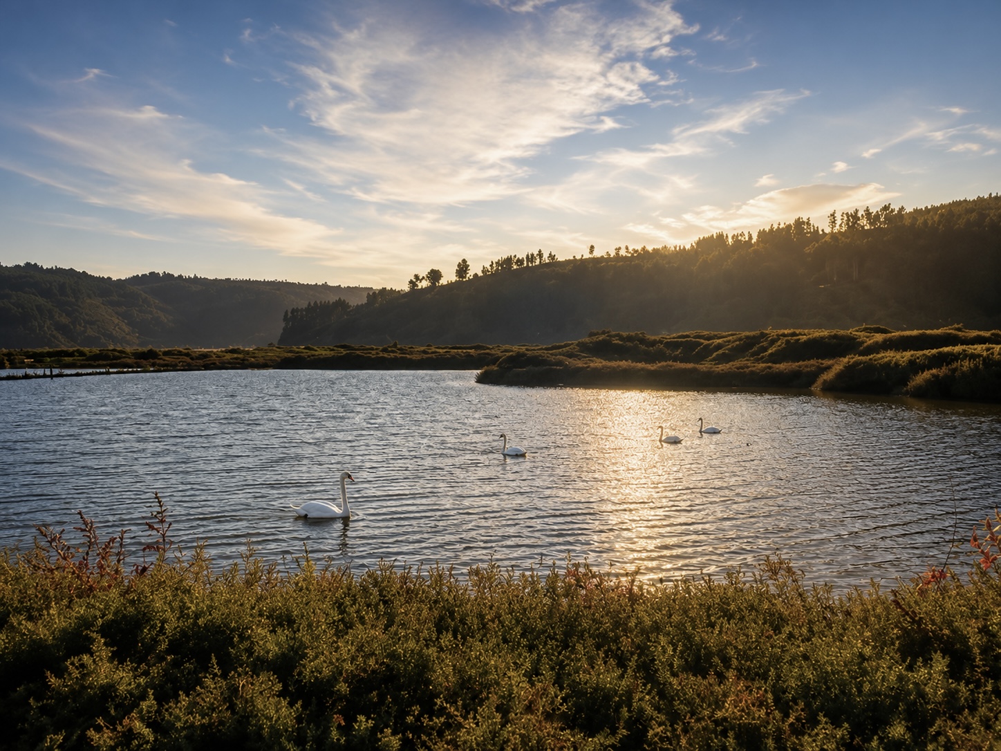 Laguna de Cáhuil al atardecer con aves sobre el agua